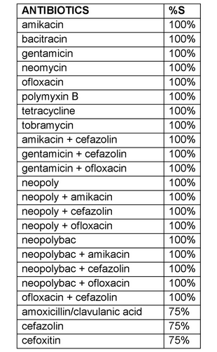 Staphylococcus felis